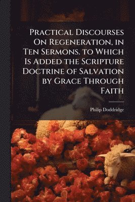 Philip Doddridge - Practical Discourses On Regeneration, in Ten Sermons. to Which Is Added the Scripture Doctrine of Salvation by Grace Through Faith, Häftad
