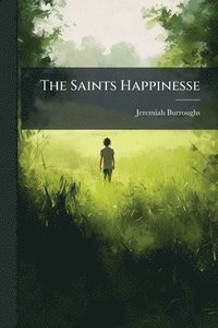 bokomslag Saints Happinesse