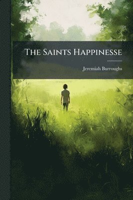 bokomslag Saints Happinesse