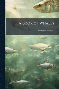 bokomslag A Book of Whales