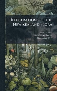 bokomslag Illustrations of the New Zealand Flora