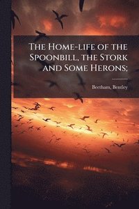 bokomslag Home-life of the Spoonbill, the Stork and Some Herons;