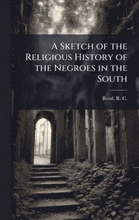 bokomslag Sketch of the Religious History of the Negroes in the South