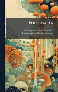 bokomslag Polychaeta