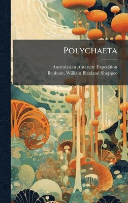 bokomslag Polychaeta