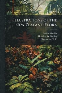 bokomslag Illustrations of the New Zealand Flora