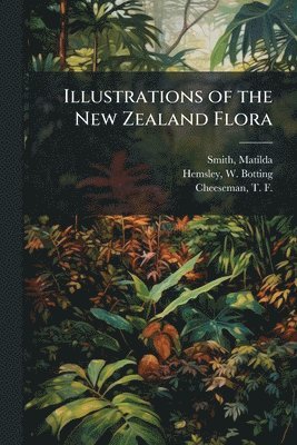 bokomslag Illustrations of the New Zealand Flora