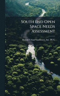 bokomslag South end Open Space Needs Assessment