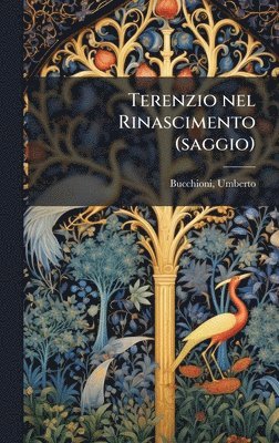 bokomslag Terenzio nel Rinascimento (saggio)