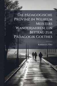 bokomslag pädagogische Provinz in Wilhelm Meisters Wanderjahren; ein Beitrag zur Pädagogik Goethes