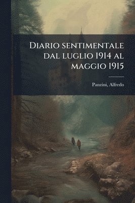 bokomslag Diario sentimentale dal luglio 1914 al maggio 1915