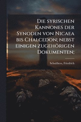 Friedrich Schulthess - Die syrischen Kannones der Synoden von Nicaea bis Chalcedon; nebst einigen zugehörigen Dokumenten;, Häftad