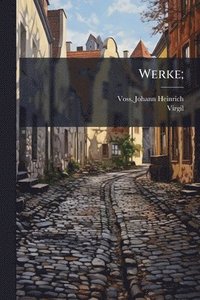 bokomslag Werke;