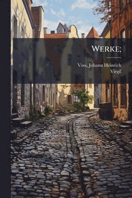 bokomslag Werke;