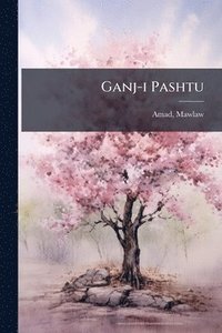 bokomslag Ganj-i Pashtu
