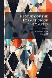 bokomslag The Study of the Formation of Chromates