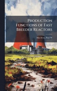 bokomslag Production Functions of Fast Breeder Reactors