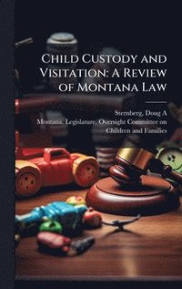 bokomslag Child Custody and Visitation
