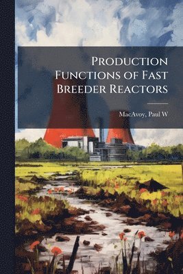 Paul W MacAvoy - Production Functions of Fast Breeder Reactors, Häftad
