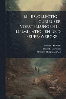 bokomslag Eine Collection curieuser Vorstellungen in Illuminationen und Feuer-Wercken