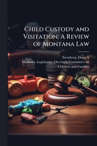 bokomslag Child Custody and Visitation