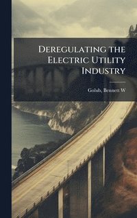 bokomslag Deregulating the Electric Utility Industry