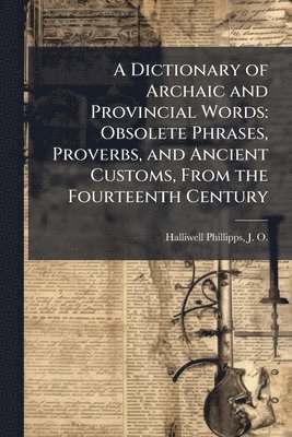 bokomslag Dictionary of Archaic and Provincial Words