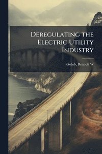 bokomslag Deregulating the Electric Utility Industry