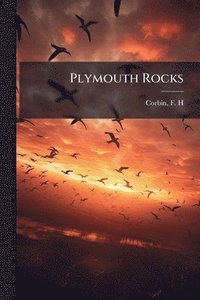 bokomslag Plymouth Rocks