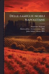 bokomslag Delle famiglie nobili Napoletane