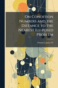 bokomslag On Condition Numbers and the Distance to the Nearest Ill-posed Problem