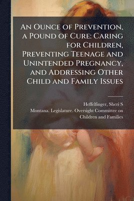 bokomslag An Ounce of Prevention, a Pound of Cure: Caring for Children, Preventing Teenage and Unintended Pregnancy, and Addressing Other Child and Family Issue