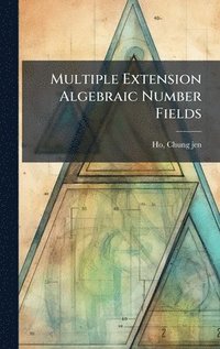 bokomslag Multiple Extension Algebraic Number Fields