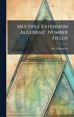 bokomslag Multiple Extension Algebraic Number Fields