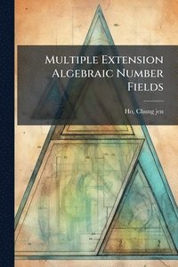 bokomslag Multiple Extension Algebraic Number Fields