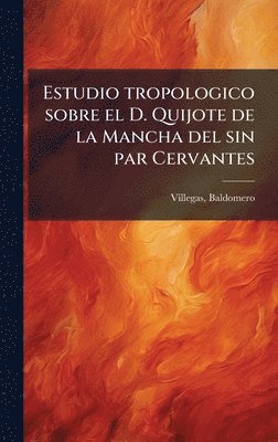 bokomslag Estudio tropologico sobre el D. Quijote de la Mancha del sin par Cervantes