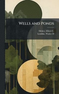 bokomslag Wells and Ponds