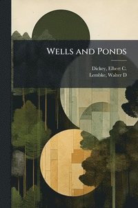 bokomslag Wells and Ponds
