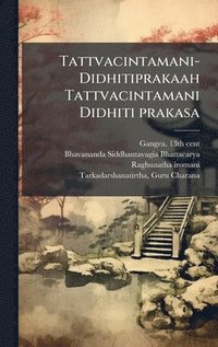 bokomslag Tattvacintamani-Didhitiprakaah Tattvacintamani Didhiti prakasa