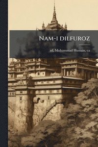 bokomslag Nam-i dilfuroz