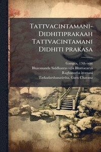 bokomslag Tattvacintamani-Didhitiprakaah Tattvacintamani Didhiti prakasa