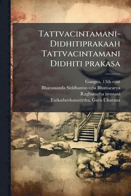 bokomslag Tattvacintamani-Didhitiprakaah Tattvacintamani Didhiti prakasa