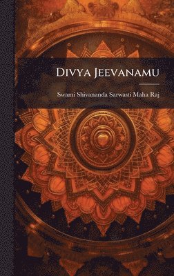 bokomslag Divya Jeevanamu