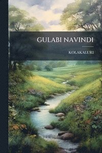 bokomslag Gulabi Navindi