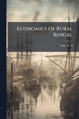 bokomslag Economics Of Rural Bengal