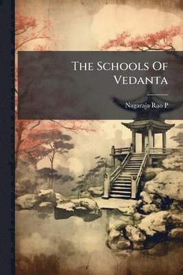 bokomslag Schools Of Vedanta