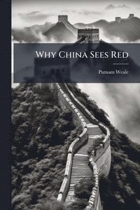 bokomslag Why China Sees Red