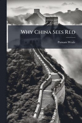 bokomslag Why China Sees Red
