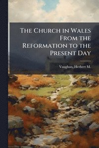 bokomslag The Church in Wales From the Reformation to the Present Day