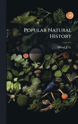 J G 1827-1889 Wood - Popular Natural History, Inbunden